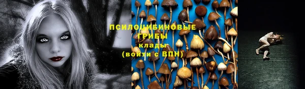 бошки Алзамай