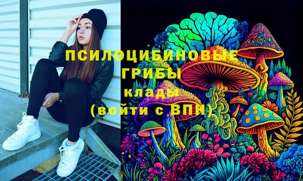 СК Покров