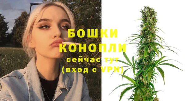 шишки Покровск