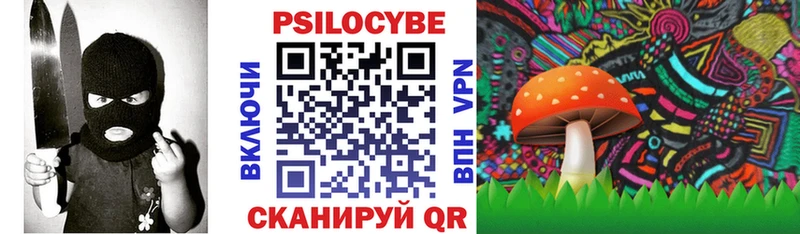 наркота  Кандалакша  ОМГ ОМГ зеркало  Галлюциногенные грибы Psilocybe 