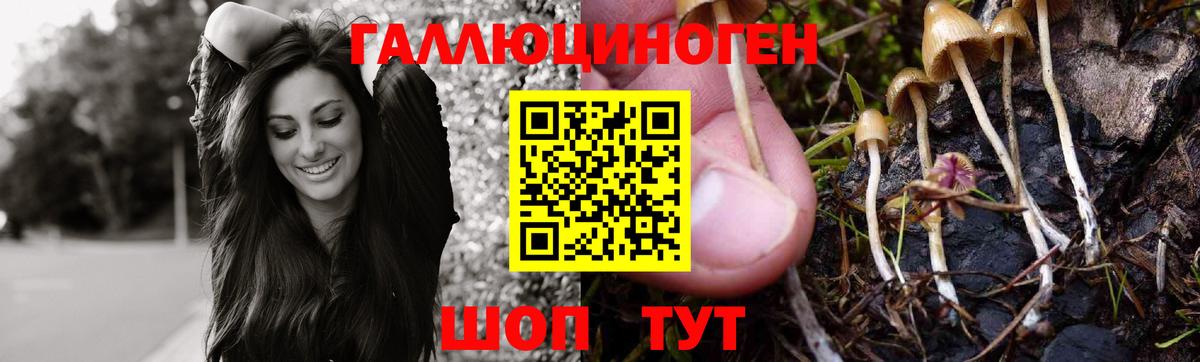 Кандалакша  Галлюциногенные грибы Psilocybe  что такое наркотик  Вход с VPN 