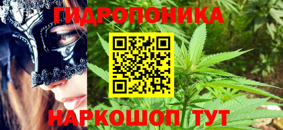 Кандалакша  Бошки Шишки конопля  Канабис White Widow  Канабис гибрид  Вход с VPN 